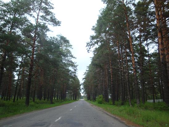 Дорога Свободный – Углегорск. Амурская область
