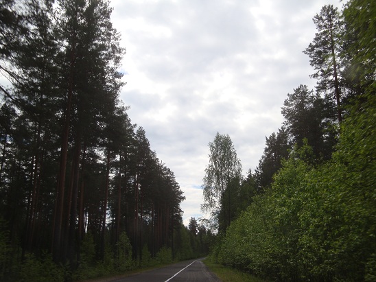 Дорога в заповедник Кивач. Карелия