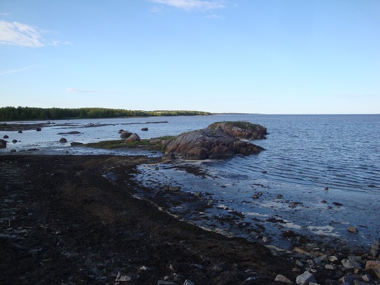 Белое море