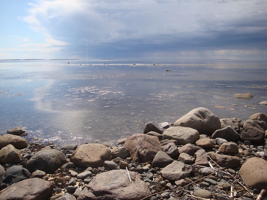 На берегу Белого моря