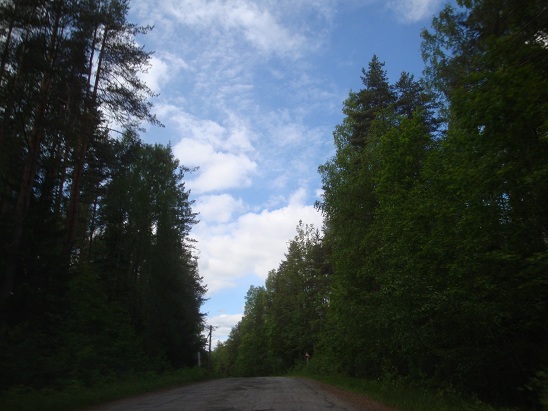 Старая дорога Медвежьегорск-Гирвас. Карелия