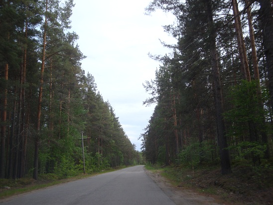 Дорога в Крошнозеро. Карелия