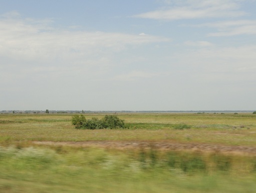 Барабинская низменность