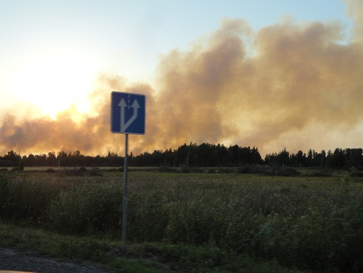 Лесные пожары в Курганской области