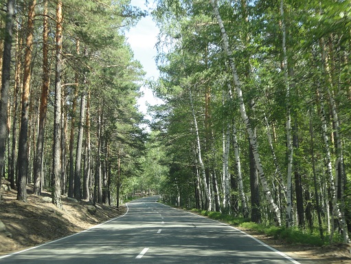Дорога в сказку
